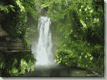 Keressen p�nzt v�s�rl�si szok�s�nak megv�ltoztat�s�val!